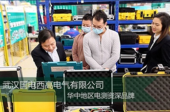 深圳客戶(hù)蒞臨國(guó)電西高參觀考察