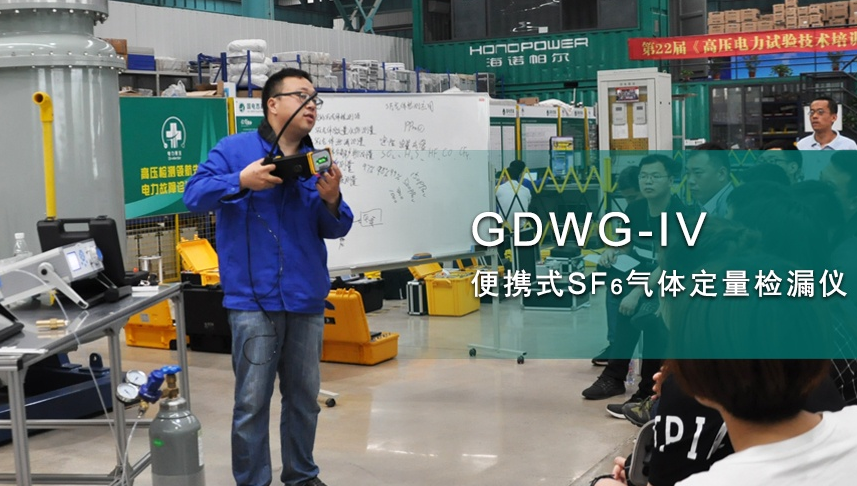 國(guó)電西高sf6檢漏儀泄露率標(biāo)準(zhǔn)