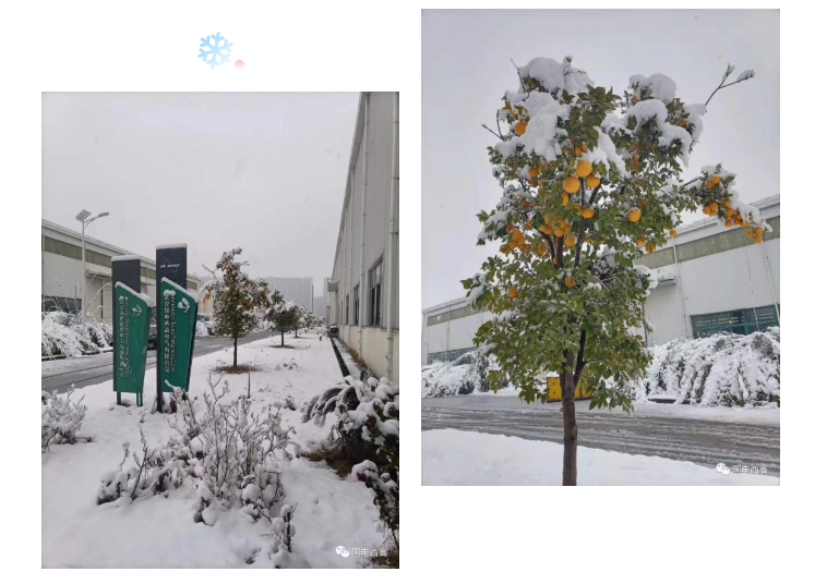 局部放電檢測儀，串聯諧振，SF6氣體檢漏儀