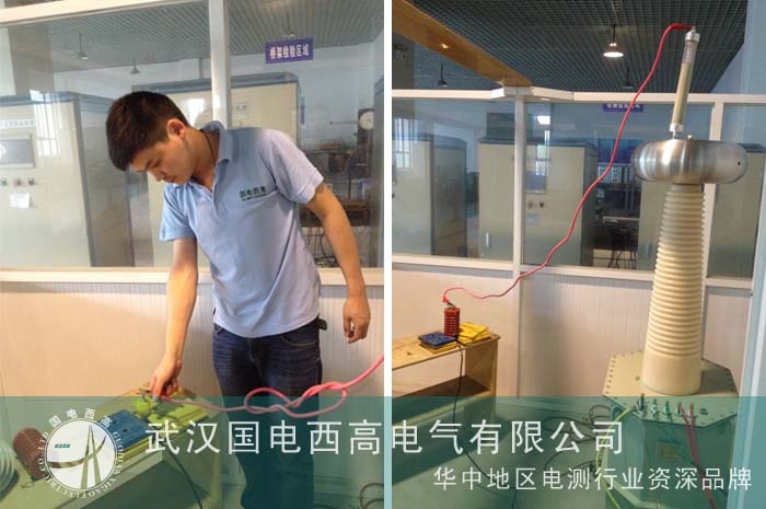 揚中質檢所邀國電西高調試設備