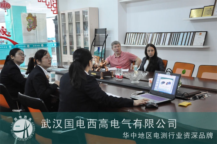 俄羅斯客戶到武漢國電西高考察一批設備